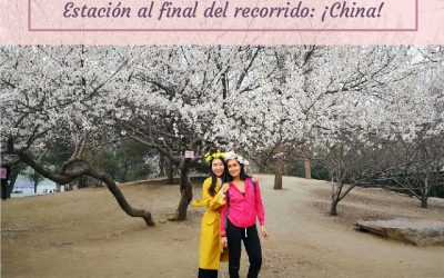 Estación al final del recorrido: ¡China! ♥